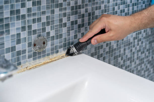 Best Mold Damage Repair  in Ozona, TX